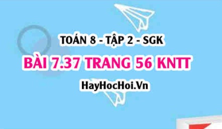 Bài 7.37 trang 56 Toán 8 Tập 2 Kết nối tri thức